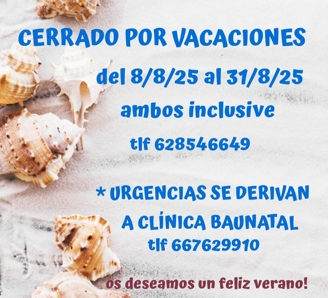 vacaciones verano 25
